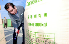 보령시, 2024년산 공공비축미 건조벼 5048톤 매입