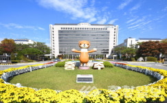 충주 부민삼거리~1로터리 지중화 내년 3분기 착공