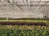 충남 200억 규모 정부 청년 스마트팜 유치