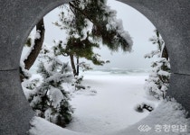 [장문석의 발길 디카詩] 설창(雪窓)