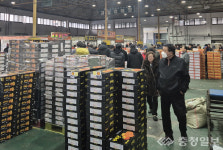 충주 농수산물도매시장서 15㎏ 상자 사라진다
