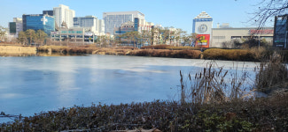 한파에 청주오창호수공원 꽁꽁