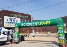 공주시산림조합, 2025년도 나무전시판매장 개장