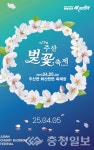 보령시 주산면, 2천여 그루 왕벚나무 물결 속으로 초대합니다