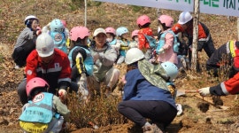 단양국유림관리소, 4일 식목일 기념행사