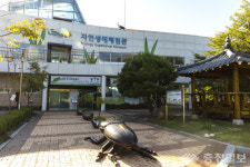 가족·연인 봄나들이에 딱…충주호 주변 명소 4선