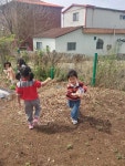 예산 용동초등학교병설유치원, 우리는 사계절 지구지킴이