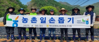 북단양농협, 적성면서 농촌 일손 돕기