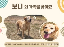 국가대표 탐지견, 이제는 가족의 일원으로