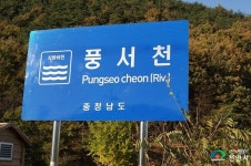 천안 풍서천 퉁가리·참갈겨니 깃대종 지정 및 보호 시급