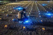 Foto aus Naver-Suchergebnissen 1