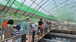 예산군 오가면 양신초등학교, 예산정수장 견학