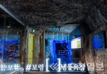 보령시, 더워질수록 시원해지는 보령 냉풍욕장 본격 개장