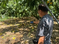 [르포] 이번 비로 가뭄이 해소되길…청주 농민들의 절규