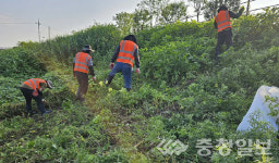 진천군, 생태계교란 생물 퇴치사업 운영