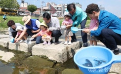 동구, 대전천에 치어 3만 마리 방류… 생태 회복