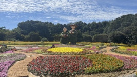 농업·체험·먹거리 한자리에 청원생명축제 내일 개막