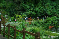 가을 숲 걸어요…충주시, 계명산 임도 순환길 조성