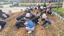 예산 보성초등학교병설유치원, 행복의 다리 - 유초이음교육