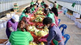 예산군 광시면 새마을남녀지도자협의회, 사랑의 김장 나눔 행사 개최