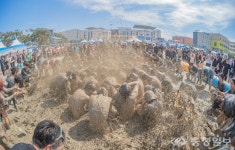 보령머드 30년, 갯벌에서 피어난 K-머드의 기적