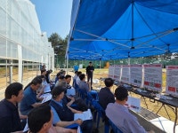 충남 육성 신품종 마늘, 현장 품평회서 호평  