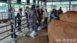 경쟁력 강화 진천축협, 축산농가 자가 인공수정교육 실시
