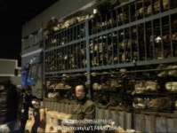 [데일리캡쳐] 中, 식용개 사육농장 놓고 한바탕 소동