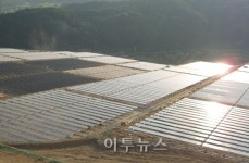 태양광발전소 총체적 부실 파문