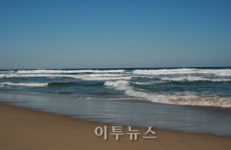 목숨까지 앗아간 공기업의 윤리 실종