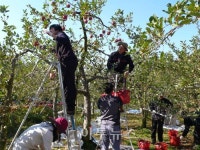 광해관리공단 영남지사, 농촌사랑 실천