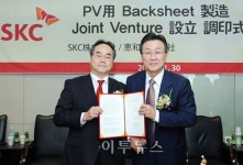 SKC, 태양광 백시트(BackSheet) 사업 진출