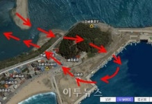 안목 죽도봉 순환로 일방통행 실시