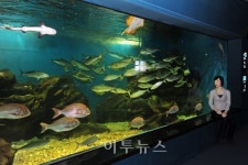 영광원전, 온배수 이용한 에너지 아쿠아리움 개관