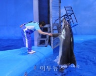 울산 남구청 고래생태체험관 인기