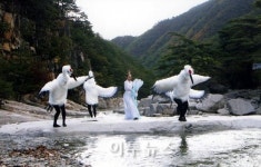 동해 무릉계곡서 천년학 날다