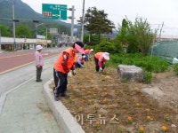 포천시 이동면, 꽃길 조성 작업 실시