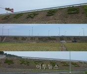 영천시, 스타☆영천 상징로고 조성