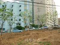 상남국제회관 주변이 깨끗해 졌어요