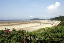 서천 춘장대해수욕장 내달 3일 개장