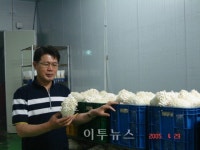 40대 귀농인 무농약 팽이버섯으로 40억 매출