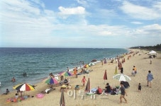 부천시민은 강릉여행이 공짜