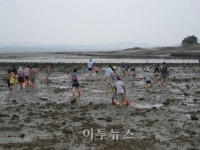 무안군, 무안으로 떠나는 웰빙 투어 운영