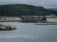 동해시, 대진항 활어회센터 본격 운영