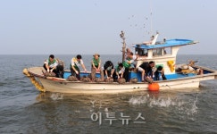 영광원자력, 패류 살포 및 해양환경 정화