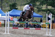 영천서 전국 말(馬) 한마당축제 개막