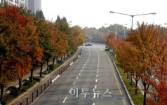 일산 호수로·호수공원으로 단풍구경 오세요