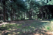 [주말여행] 감악산 아래 봉암저수지와 원당저수지를 잇는 길