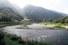 [테마여행] 옛 이야기가 흐르는 거슬재, 옛길과 거슬치 길