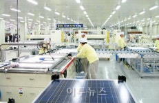 [신년특집] 태양광, 승자독식 시대가 온다